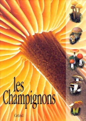 Les champignons - Hagara