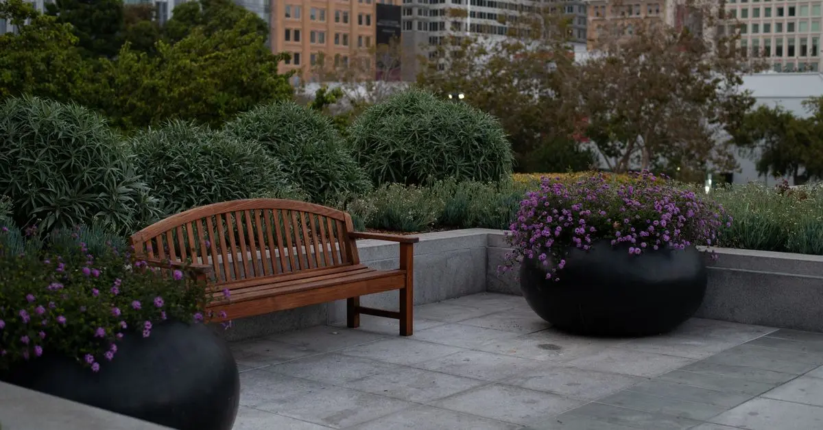 Comment créer une oasis urbaine avec un jardin de poche