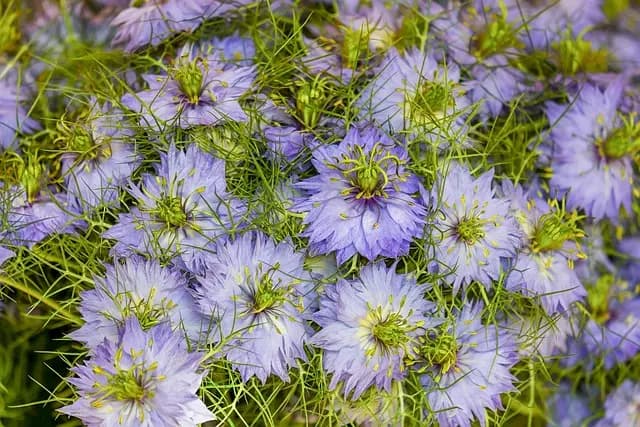 Les meilleures astuces pour un jardinage productif en petits espaces