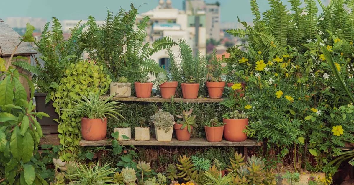 Tout savoir sur la permaculture en milieu urbain