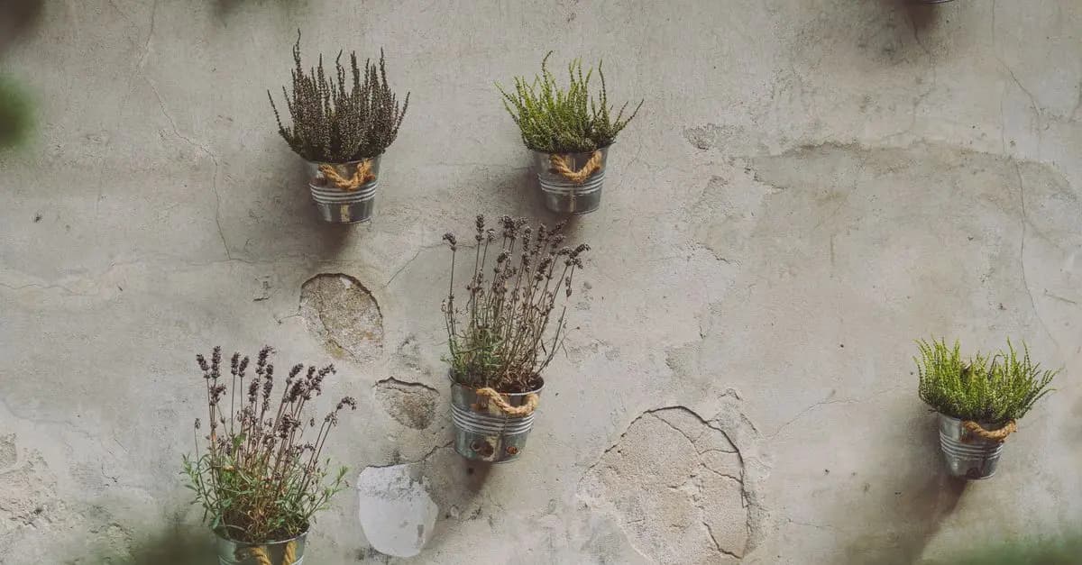 10 Plantes à Cultiver pour Optimiser Votre Petit Jardin
