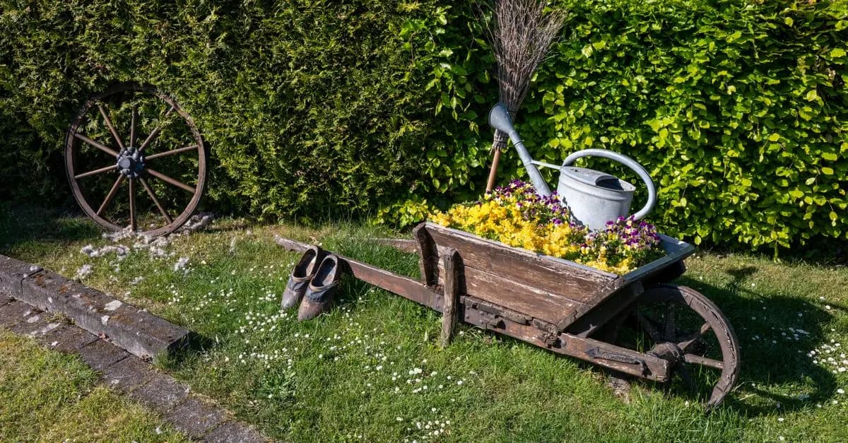 Équipements essentiels pour un jardinage d'intérieur réussi