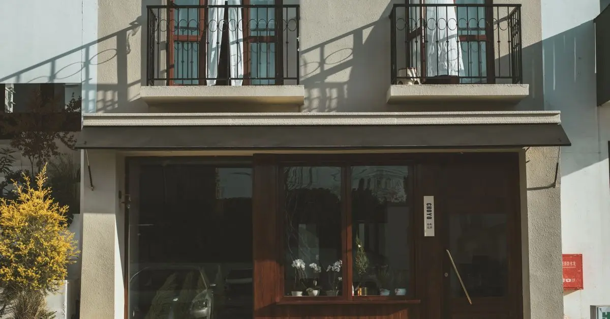 Planter et entretenir des agrumes en pots sur un balcon