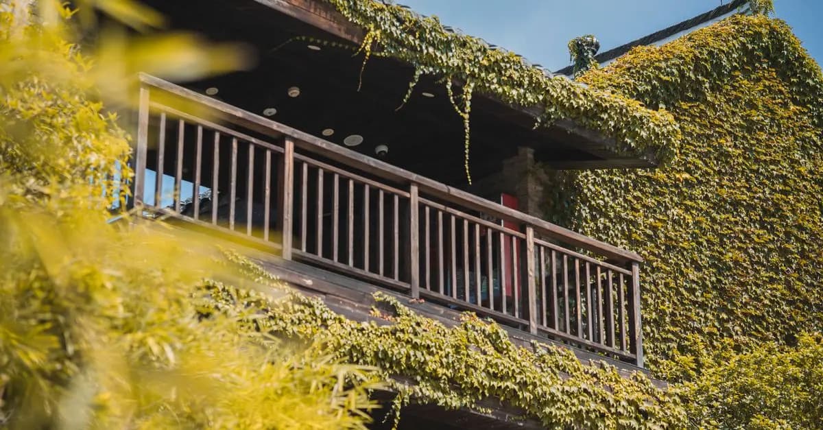 Comment bien choisir ses plantes grimpantes pour petits espaces