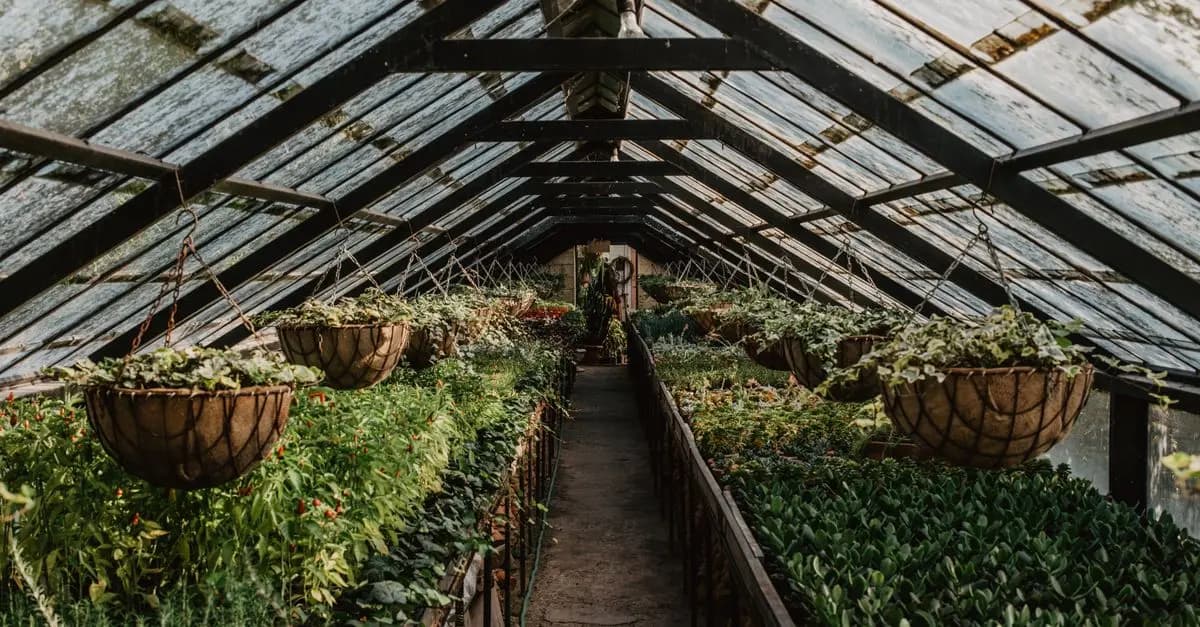 Les secrets des jardins suspendus en intérieur
