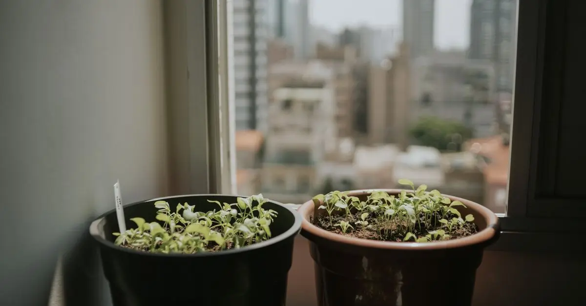 Les bénéfices du jardinage en intérieur pour réduire le stress