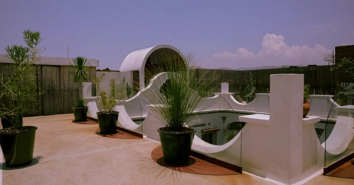 Les meilleurs arbustes nains pour démarquer votre terrasse