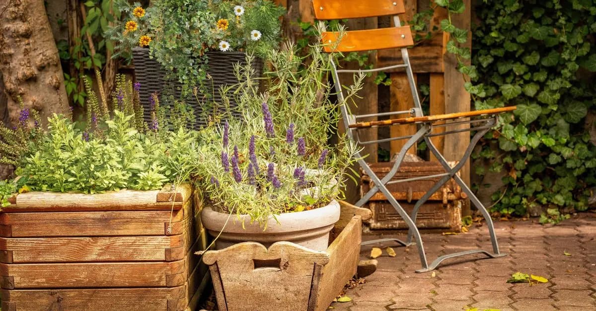 Les incitations municipales pour encourager le jardinage urbain
