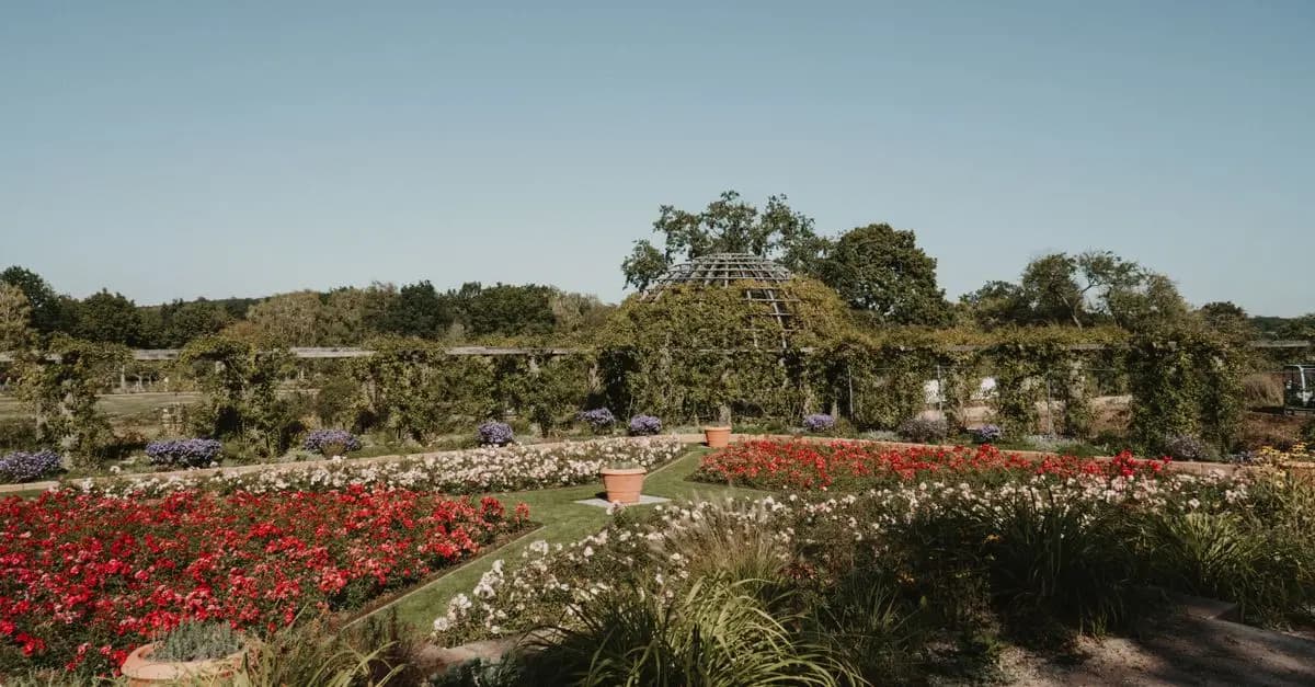 Comment aménager un jardin vertical pour petits espaces