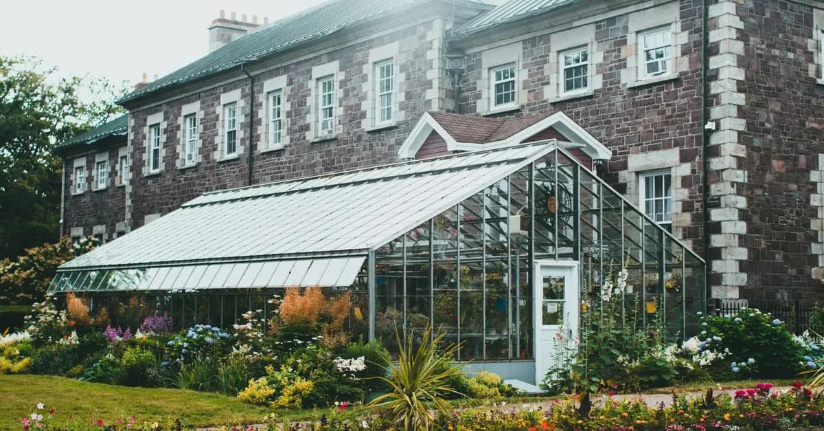 10 Plantes Faciles à Entretenir pour Petits Espaces