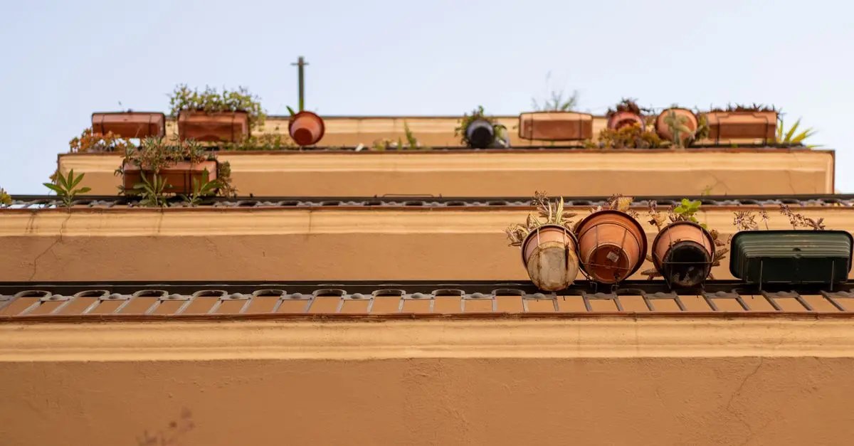 Comment choisir les meilleurs pots pour petits espaces