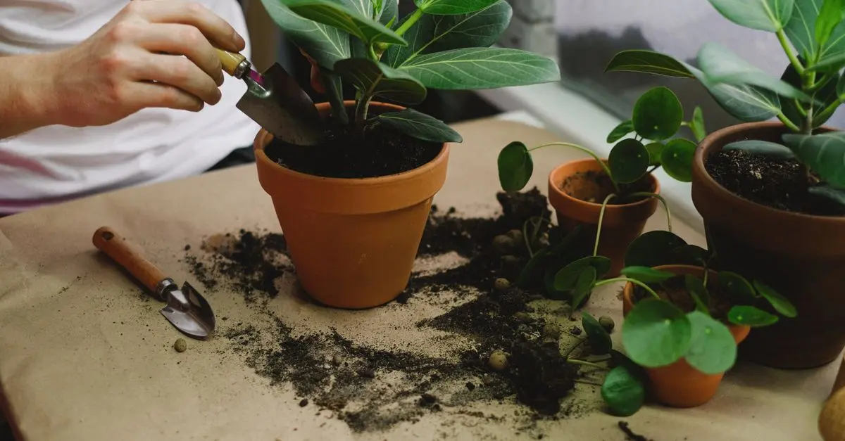Guide pour débuter un jardinage éco-responsable en ville