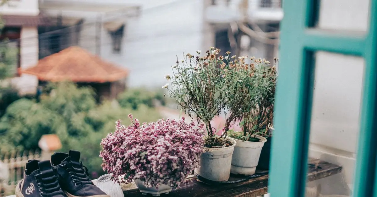 Comment aménager un balcon en jardin potager durable