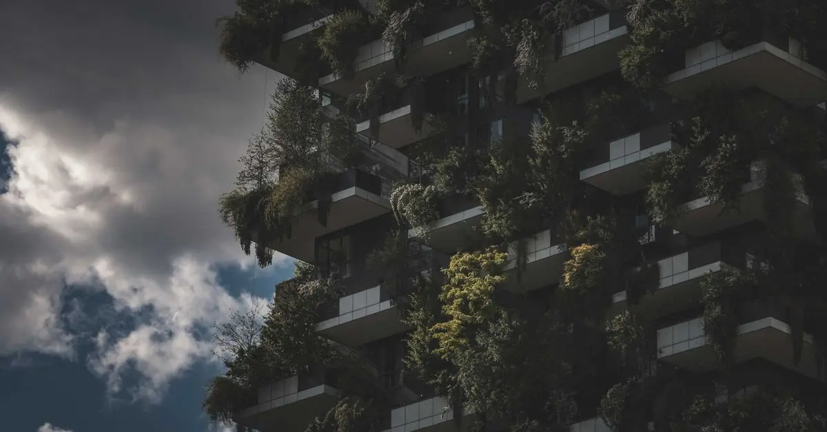 Aménager un jardin vertical : conseils et astuces