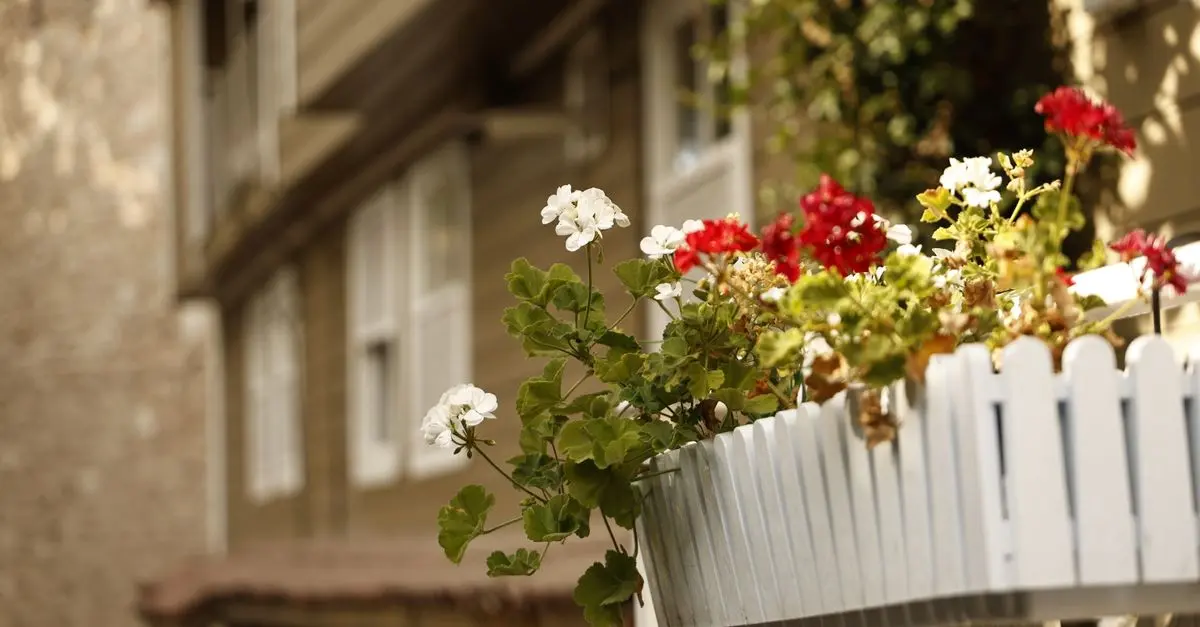 Idées pour ajouter de la couleur à votre jardin de balcon