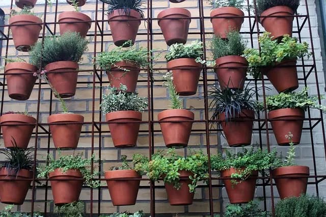 Comment choisir les meilleures plantes pour petits espaces
