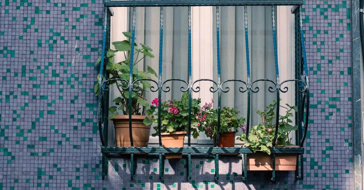 Quels légumes planter en pot pour maximiser l'espace ?