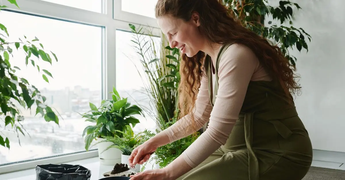 Les meilleures plantes pour un jardin d'intérieur spacieux