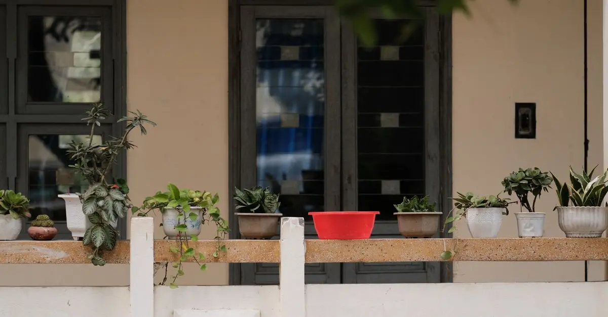 Les erreurs à éviter en jardinant sur un balcon