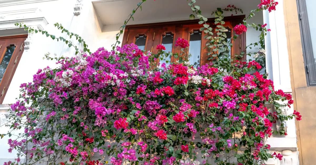 Comment réussir un jardin vertical dans un petit espace
