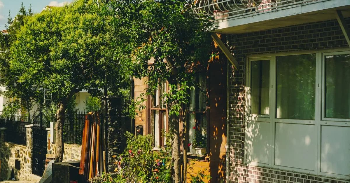 Comment entretenir un potager en balcon efficacement