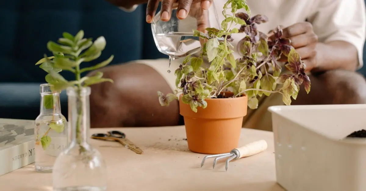 10 astuces pour aménager un jardin vertical réussi