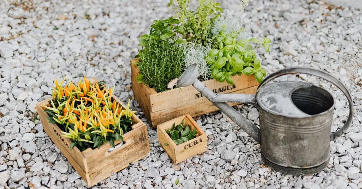 Les tendances jardinage urbain 2026 : optimiser les petits espaces