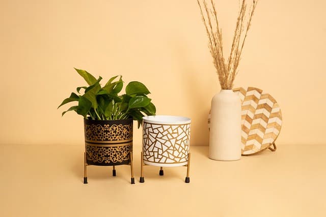Les meilleures astuces pour un jardinage réussi dans un petit espace
