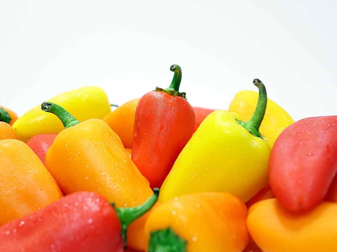 Planter des légumes à croissance rapide dans un petit jardin